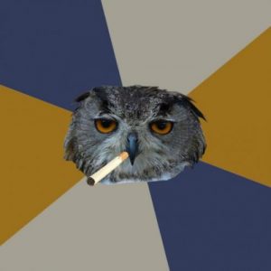 Art Student Owl