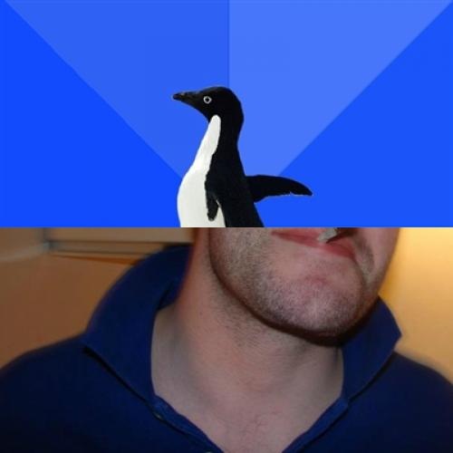 Good Guy Socially Awkward Penguin