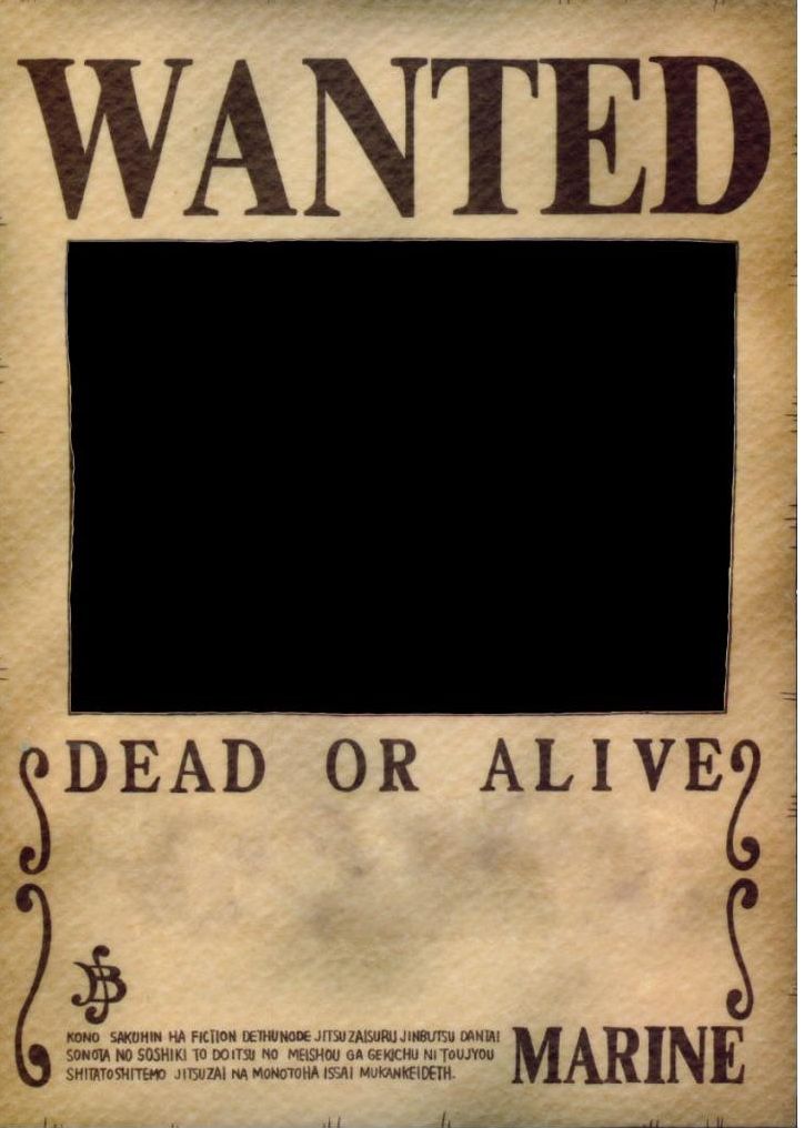One piece wanted poster