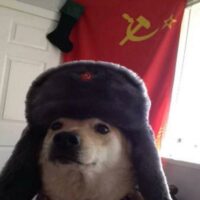 Russian Doge