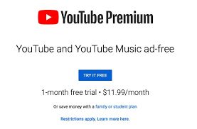 YouTube Premium Argentina Screen