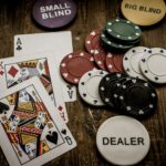 A Beginner’s Guide to Nine Bull Casino Online